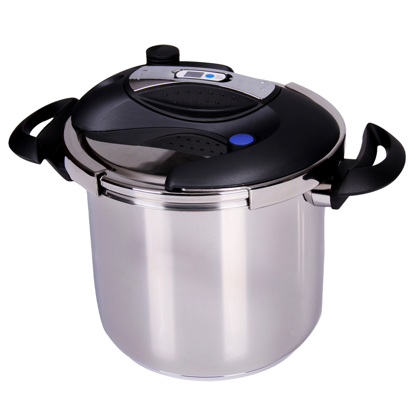 زودپز روگازی ناسا الکتریک مدل NS-217