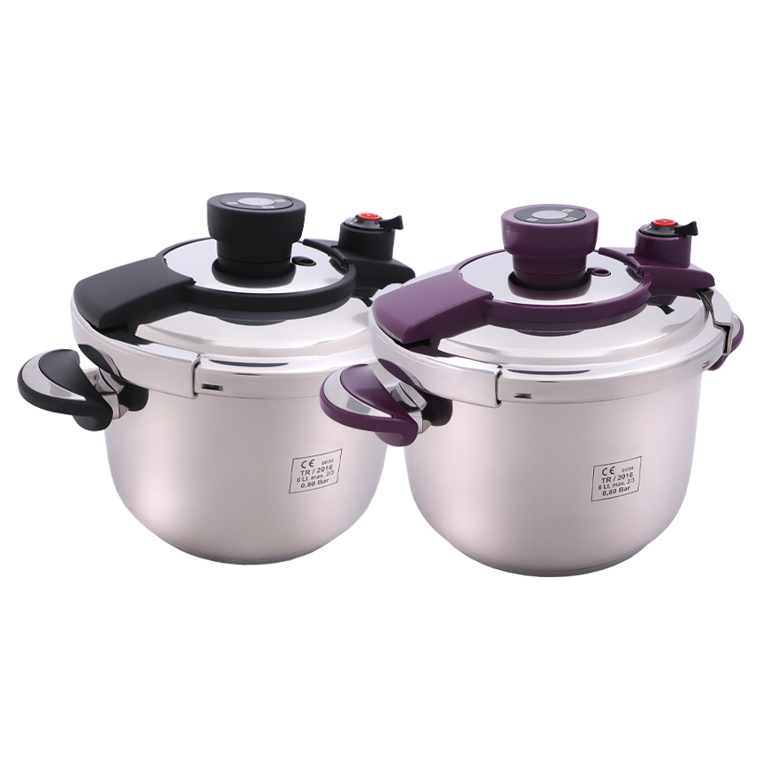 زودپز روگازی ناسا الکتریک مدل NS-219