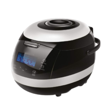 پلوپز ناسا الکتریک NS-3080